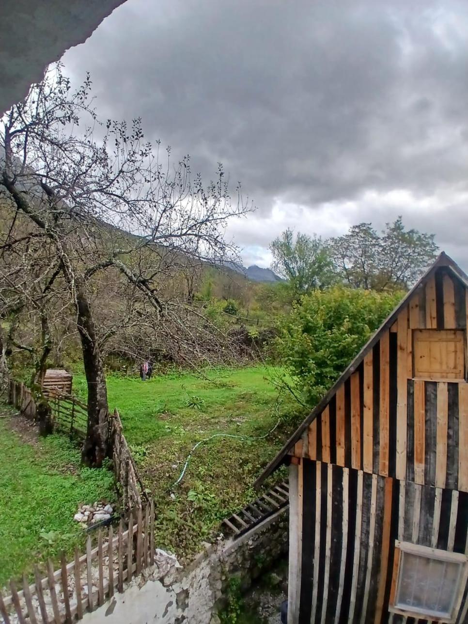 Bujtina Milani Bed and Breakfast Σκόδρα Εξωτερικό φωτογραφία