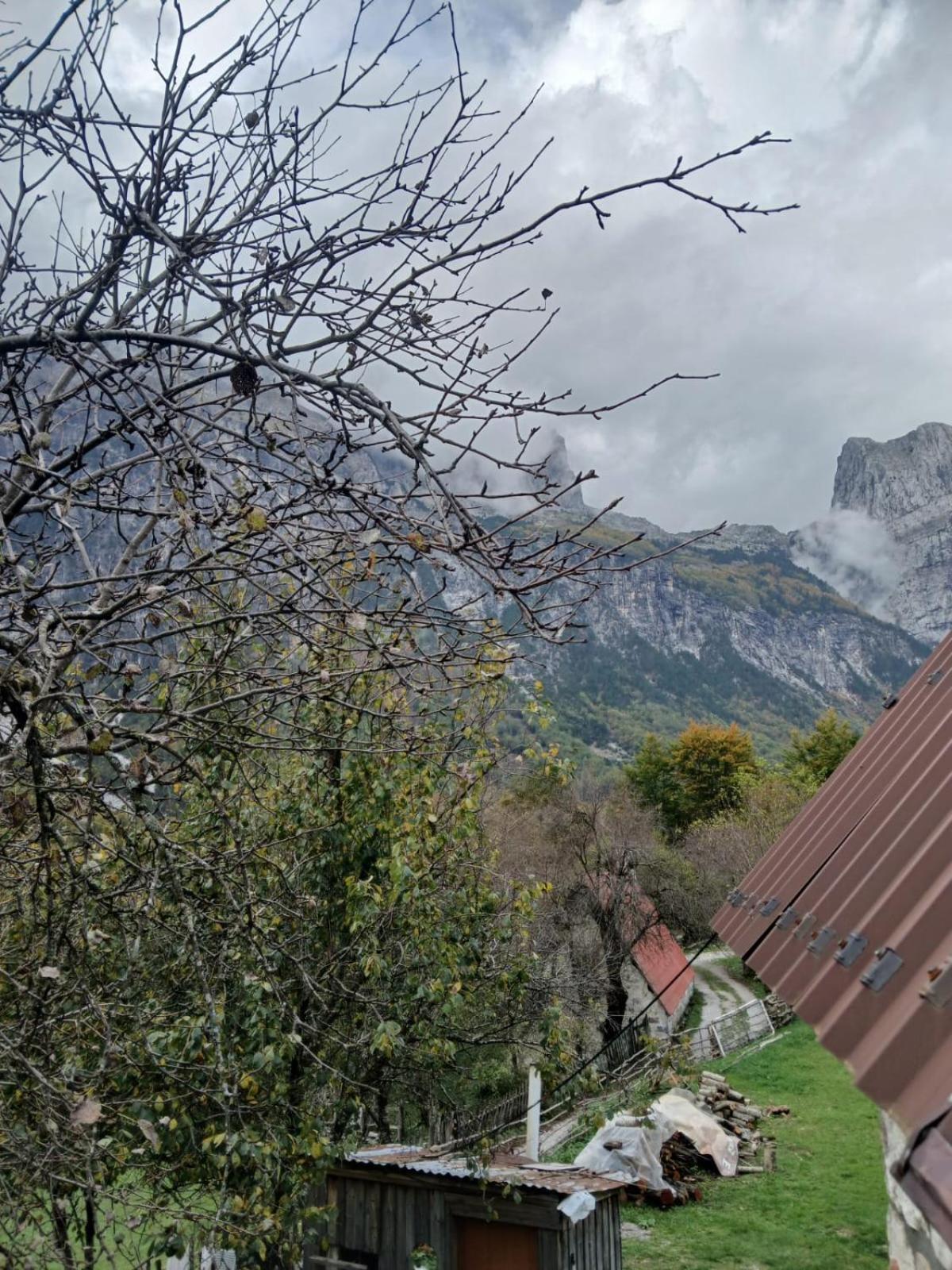 Bujtina Milani Bed and Breakfast Σκόδρα Εξωτερικό φωτογραφία